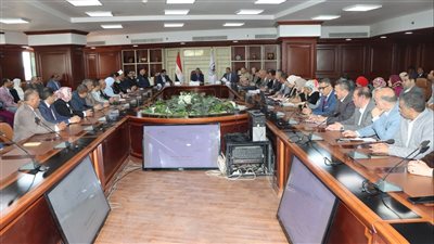 تنفيذي بنى سويف: حزمة من الإجراءات الحكومية لترشيد الإنفاق والاستهلاك