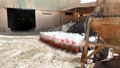 ضبط مصنع غير مرخص لإنتاج الأسمدة والمخصبات الزراعية المغشوشة بالمنوفية