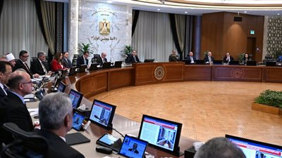 رئيس الوزراء: مصر تواصل جهودها لاحتواء التصعيد العسكري في المنطقة 