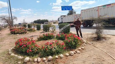 استعدادًا لعيد الفطر.. الإسماعيلية تكثف أعمال التجميل ورفع كفاءة المسطحات الخضراء