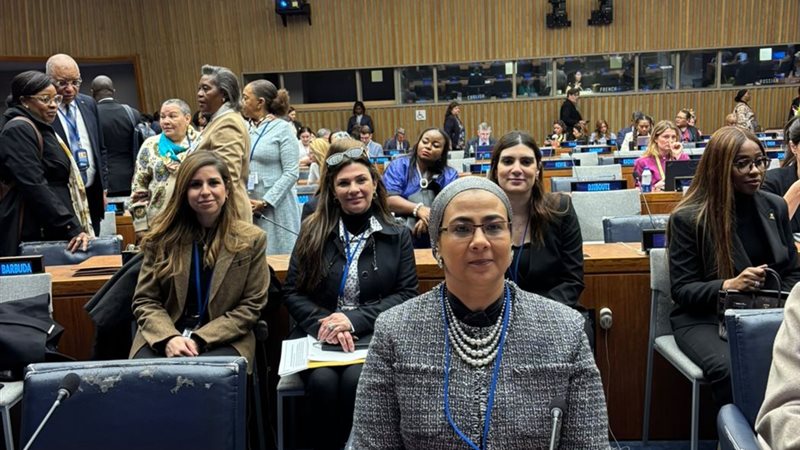 المستشارة أمل عمار