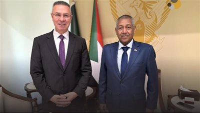 بحث تطورات القضية الفلسطينية في لقاء بين مسؤولي جامعة الدول العربية والسودان