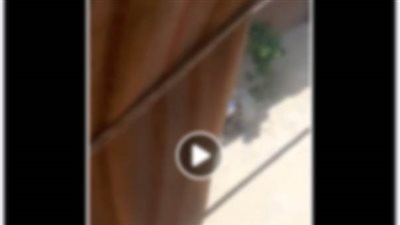 كشف ملابسات تداول فيديو بتضرر شخص من آخر لقيامه بممارسة أعمال البلطجة بالبحيرة 