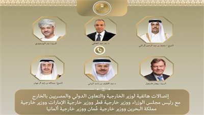 وزير الخارجية يجري اتصالات مع نظرائه العرب والألمان لمواجهة التصعيد العسكري بالمنطقة