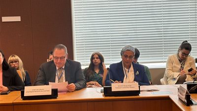 أمل عمار تشيد بدور جامعة الدول العربية في تعزيز عدالة مراعية للنوع