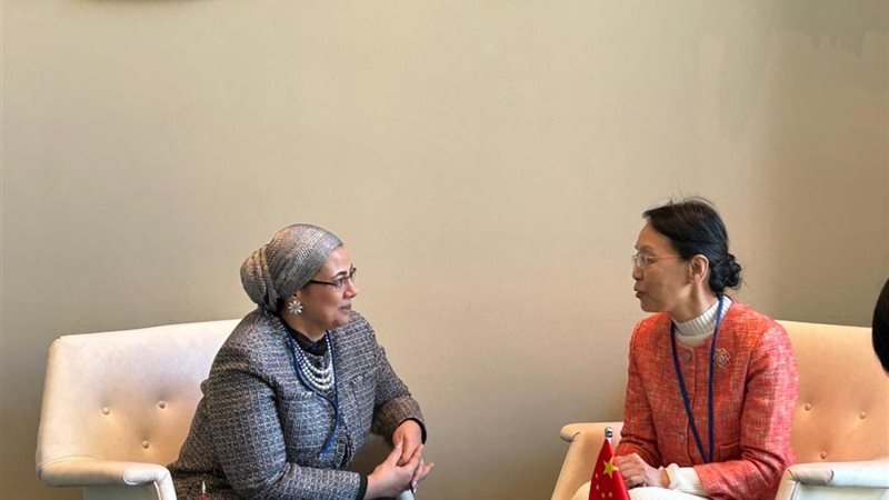 المستشارة أمل عمار