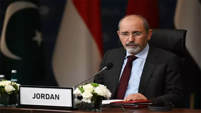 أيمن الصفدي