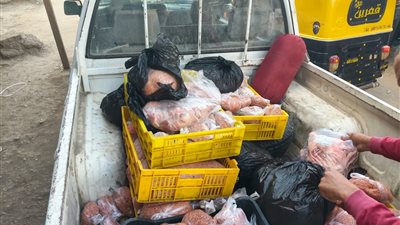ضبط ثلاجة لحوم مخالفة بالمنوفية.. والتحفظ على 250 كجم لحوما فاسدة 