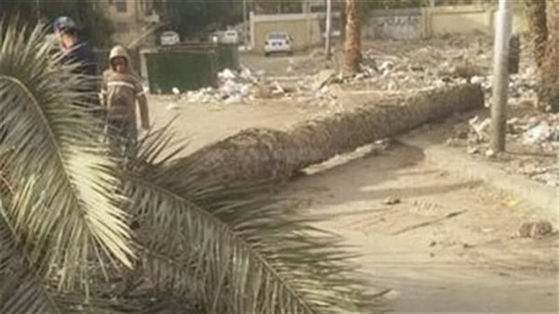 بوابة روز اليوسف