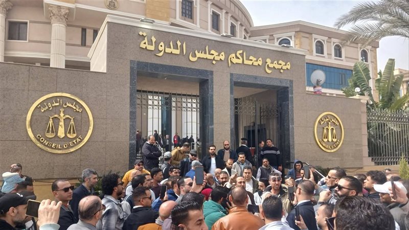 مجلس الدولة 