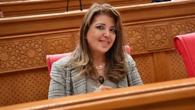 داليا السعدني: دعم الأعمال الفنية الهادفة ضرورة لتعزيز قيم الأسرة المصرية وترسيخ الهوية الوطنية