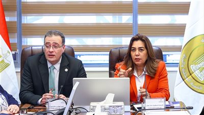 التنمية المحلية والبيئة والتنظيم والإدارة يتوافقان على الهيكل التنظيمي المحدث للوزارة