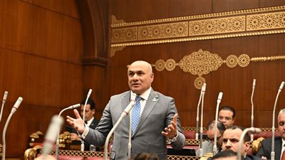 نائب بالشيوخ: كلمة الرئيس السيسي في ليلة القدر رسالة سلام مصرية إلى العالم