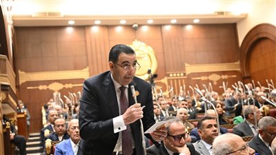 نائب بالشيوخ: دولة التلاوة والقوة الناعمة رسالة للعالم بأن مصر تقود بالعلم والدين