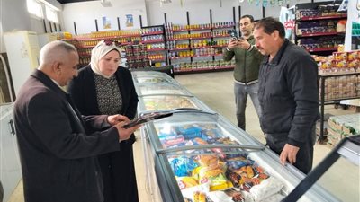 ضبط 786 كيلو لحوم ورنجة وفسيخ غير صالحة بالغربية