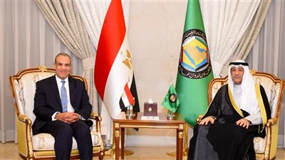 وزير الخارجية يبحث تعزيز آليات العمل العربي مع أمين عام مجلس التعاون الخليجي