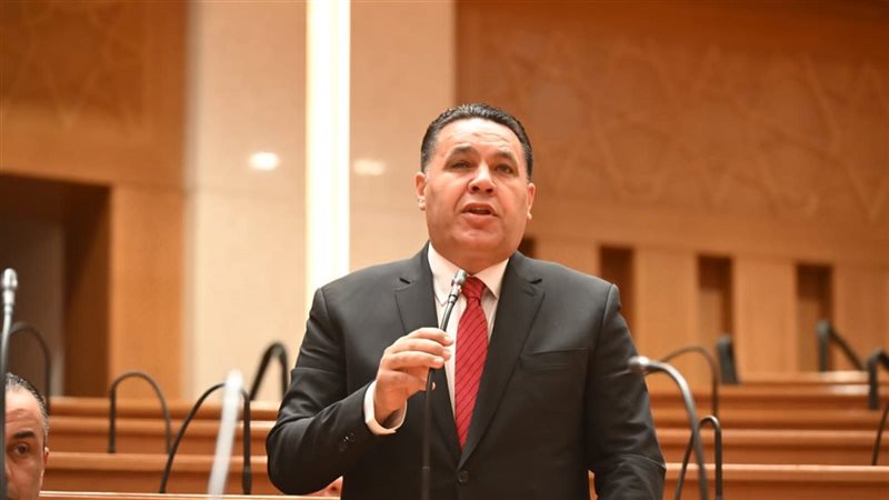 النائب عماد الغنيمي