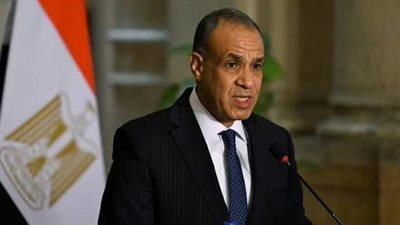 وزير الخارجية: مصر تسعى بكل قوة ومصداقية لتجنب السيناريوهات الأسوأ بالمنطقة