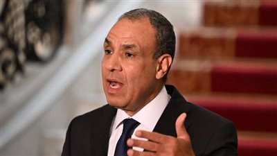 وزير الخارجية: مصر تستمر في بذل كل جهد ممكن لوقف الحرب بالمنطقة