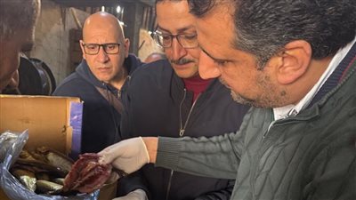 ضبط 5.5 طن رنجة غير صالحة للاستهلاك في الغربية