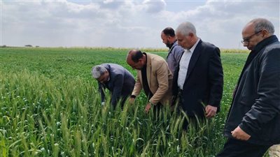 الزراعة: إزالة تعديات على 8 آلاف متر وتطهير 30 كيلو من المساقي والمصارف