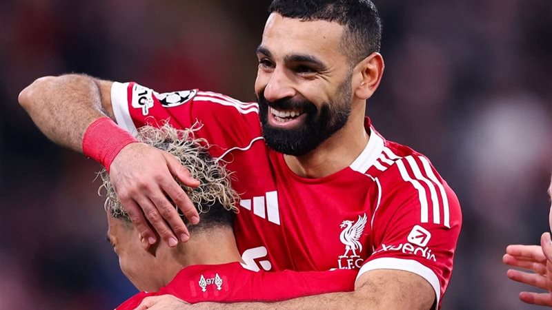 بوابة روز اليوسف