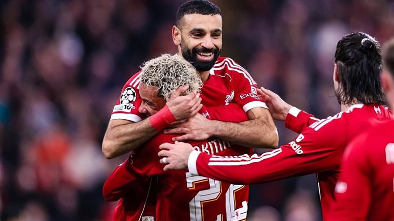 بوابة روز اليوسف