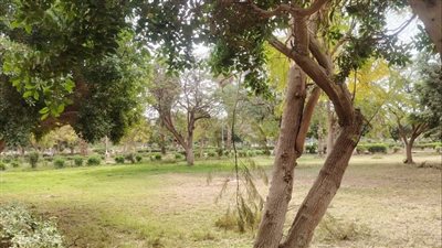 تجهيز الحديقة الدولية بأسيوط وفتحها مجانًا للمواطنين خلال عيد الفطر 