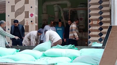 محافظ المنوفية : ضبط 4 أطنان دقيق مدعم بالشهداء والتحفظ على أسماك غير صالحة للاستهلاك الآدمي بالباجور 