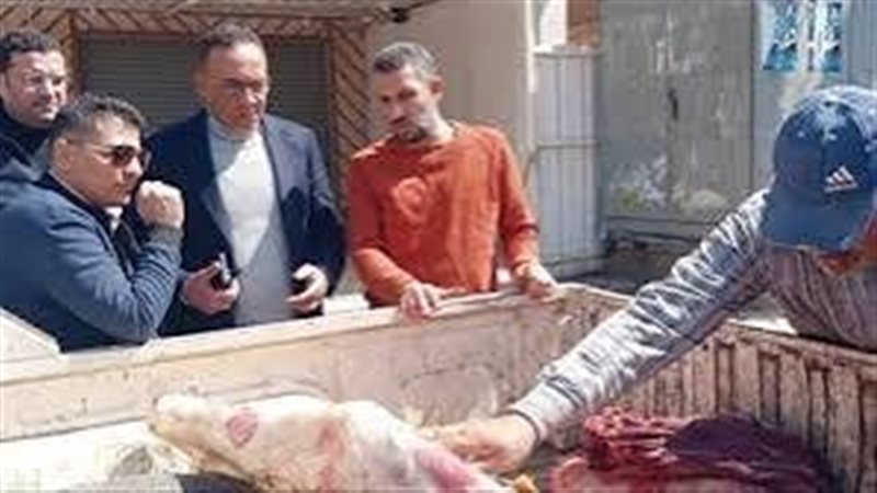بوابة روز اليوسف