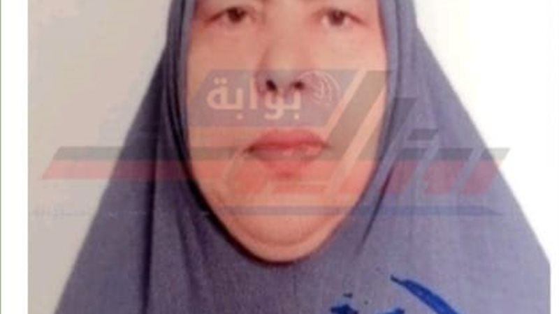 الأم المثالية 