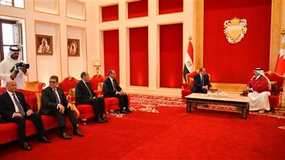 الرئيس السيسي: مصر ودول الخليج يجمعهما مصير واحد
