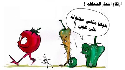 ارتفاع أسعار الطماطم