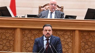 محمد مجاهد: تشريعات جديدة لضبط سوق كرة القدم والجنيه المصري في الصدارة
