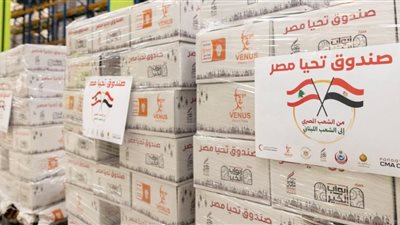 مصر تكثّف دعمها للبنان في مواجهة الأزمة.. و«بيت الزكاة والصدقات» يعزز جهوده الإغاثية للأشقاء