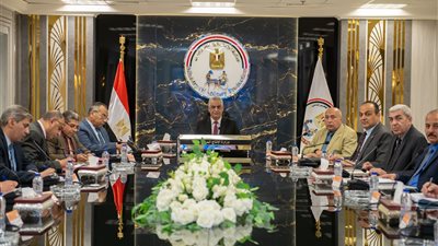 وزير الإنتاج الحربي يوجه بتشكيل لجنة لترشيد استهلاك الكهرباء بشركات الإنتاج الحربي