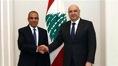 وزير الخارجية يلتقي رئيس لبنان وينقل رسالة دعم مصرية رسمية