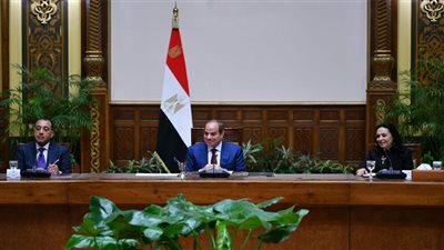 الرئيس السيسي يوجه بدراسة التوسع في تطبيق فكرة الأسر المستقبلة للأيتام