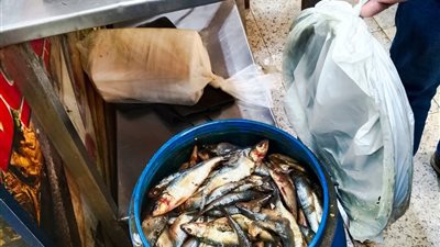 المنوفية تكثف الحملات التفتيشية لضبط الأسواق وحماية المواطنين