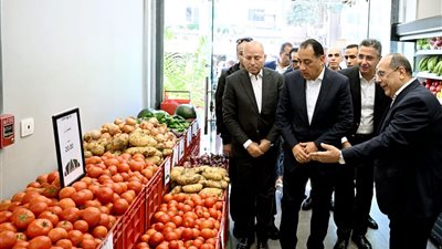 مدبولي: مشروع 
