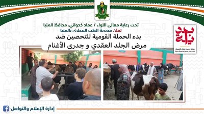 بدء الحملة القومية للتحصين ضد الجلد العقدي وجدري الأغنام بالمنيا