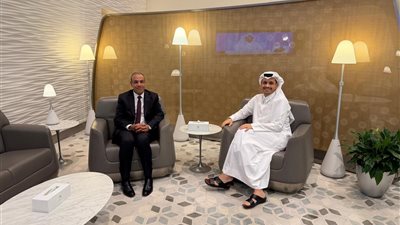 وزير الخارجية يلتقي رئيس مجلس وزراء قطر بالدوحة لتنسيق جهود الوساطة  