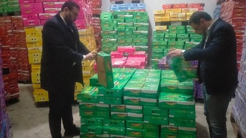 ارشيفية