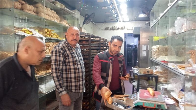 جانب من الحملات 