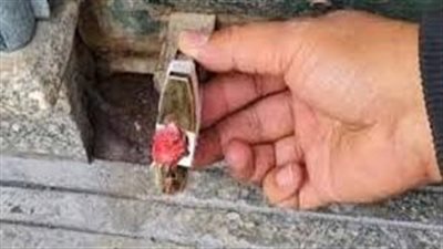 خلال 24 ساعة..تحرير (918) مخالفة لمحلات ومنشآت لم تلتزم بقرار الغلق