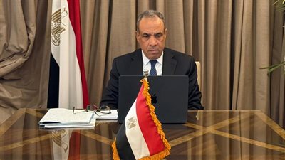 وزير الخارجية: قوة العالم العربي في وحدته والعمل المشترك ضرورة استراتيجية