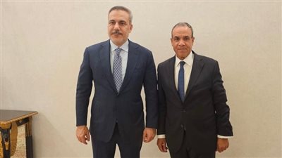 وزيرا خارجية مصر وتركيا يبحثان تعزيز التعاون وتطورات الأوضاع الإقليمية