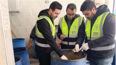 «سلامة الغذاء»: تصدير 380 ألف طن أغذية إلى 194 دولة