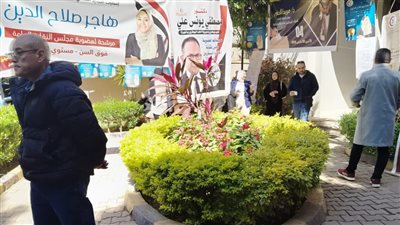 فتح باب التصويت في انتخابات التجديد النصفي لنقابة الأطباء البيطريين وفرعية قنا