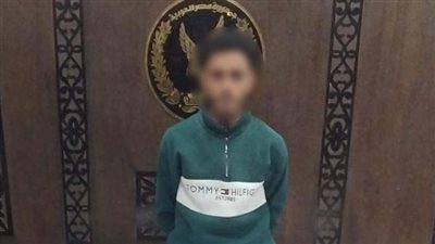  كشف ملابسات فيديو الاعتداء بسلاح أبيض في الإسكندرية وضبط المتهم